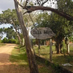 Yala edge Bungalows thumbnail 4