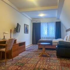 Villa Vodno in Skopje, Macedonia from 65$, photos, reviews - zenhotels.com guestroom