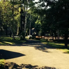 Kathy's Cottages thumbnail 14