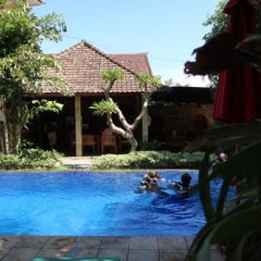Bali Reef Divers Tulamben - Bild 6