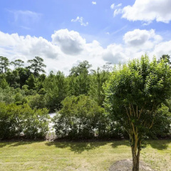 The Preserve at Carriage Pointe 3 Br townhouse by RedAwning thumbnail 11