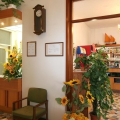 Hotel Maria Piera thumbnail 4