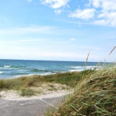Hotel Hiddensee Hitthim - Bild 5