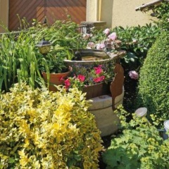 Haus Hilgarth - Bild 8