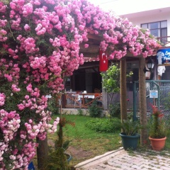 Lagina Pansiyon - Bild 14