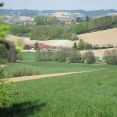 Ferienhof Rieger - Bild 5