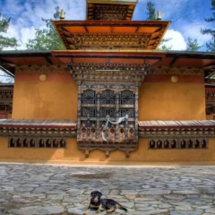 Lemon Tree Resort, Thimphu, Bhutan