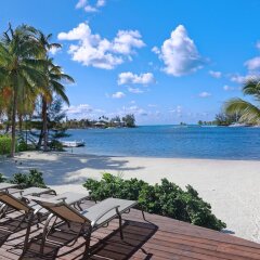 Sea Cove in North Side, Cayman Islands from 571$, photos, reviews - zenhotels.com photo 12