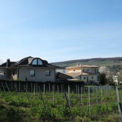 5 Sterne Ferienwohnung - Am Rheinberg - - Bild 10