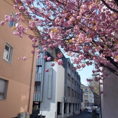 Hotel Spenerhaus - Bild 11