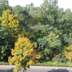 Hotel Wildunger Hof - Bild 12