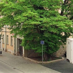 Appartements Am Theater - Bild 12