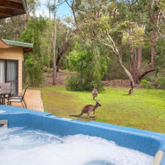 Yelverton Brook Eco Spa Retreat & Conservation Sanctuary thumbnail 1