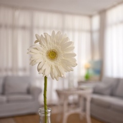 Galaxia Boutique Hotel - Bild 30