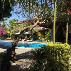 Bumi Ayu Bungalows - Bild 13