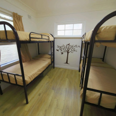 Cozy M Hostel thumbnail 17