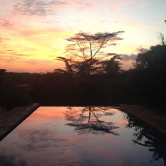 Yellow Haven Lodge thumbnail 19