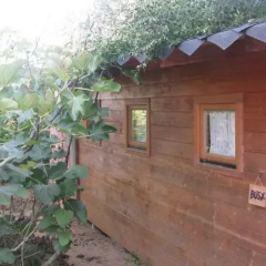 Surf N Sand Hostel thumbnail 6