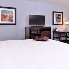 Hampton Inn Potsdam, NY thumbnail 2