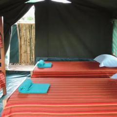 Mara Explorers Camp & Backpackers thumbnail 1