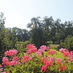 Haus Renate - Bild 4