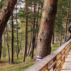 Rabarberi LV - SeaSide Village in Saulkrasti, Latvia from 124$, photos, reviews - zenhotels.com photo 45