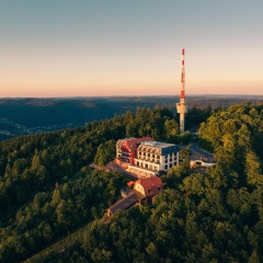 Berggasthof Königstuhl - Bild 15