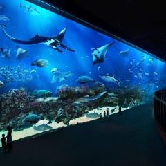 Genting Hotel Jurong - Bild 29