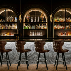 The Drake Oak Brook, Autograph Collection thumbnail 36