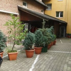 Wilhelmshoehe - Bild 18