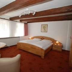 Brauner Hirsch - Bild 6
