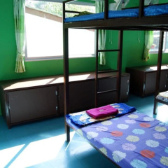 OYO 1163 Eden Hostel thumbnail 4