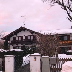 Goldbichl - Bild 1