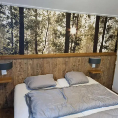 Holiday Home in Stramproy Near Nature Reserves thumbnail 32