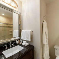 The Roosevelt New Orleans, A Waldorf Astoria Hotel thumbnail 9
