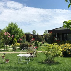 Riva's Club - Bild 3