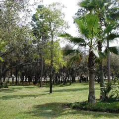 Sunny Oaks thumbnail 15