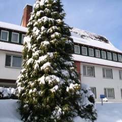 Pension Volkert - Bild 1