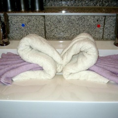 Fewo Meissen - Bild 6