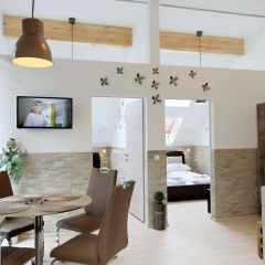 Flatprovider - Manuela Apartment Vienna thumbnail 12