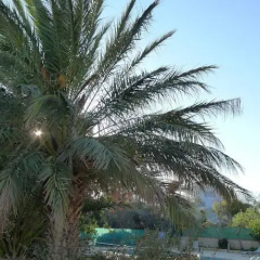 Guesthouse Seaview thumbnail 6