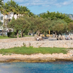CAN Botó - Bild 19