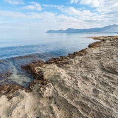 Borges - Bild 11