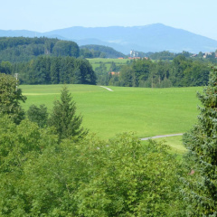 Berghof Graml - Bild 18