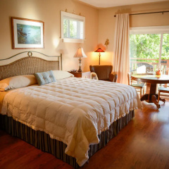Ocean Mist Guesthouse