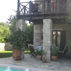 Almond Tree - Bild 6