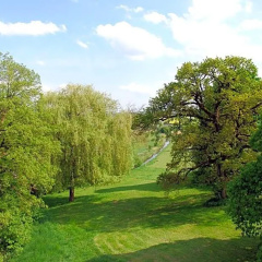 Parsberg - Bild 10