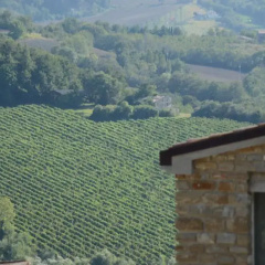 Tenuta Silente thumbnail 10