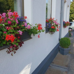 Hotel Im Winkel - Bild 11