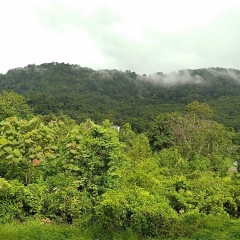 Ananda Place Phuket - Bild 13